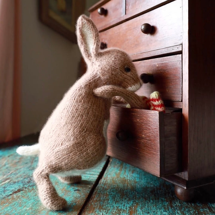 Wabbit Cashmere Knitting Kit