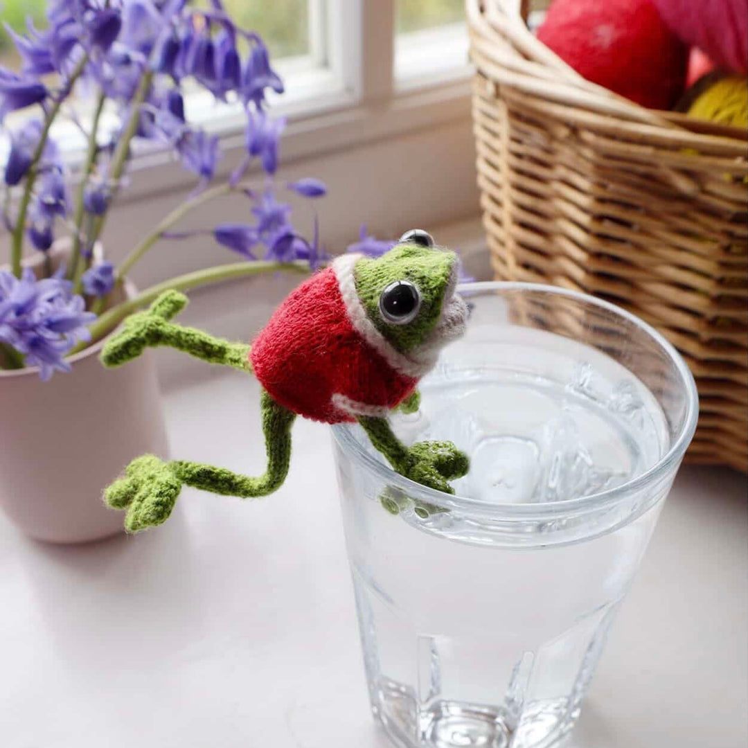 Froglet / Toadlet Knitting Kit