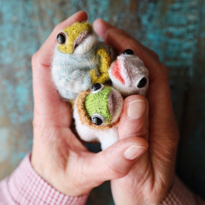 Froglet / Toadlet Knitting Kit