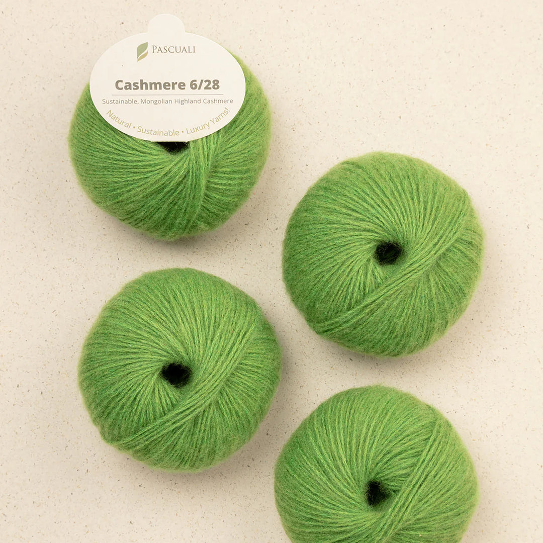 Pascuali Cashmere 6/28