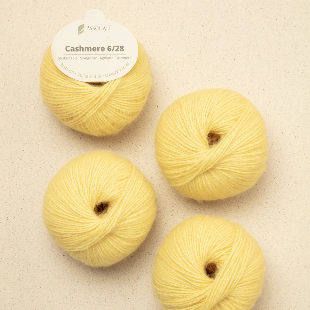 Pascuali Cashmere 6/28