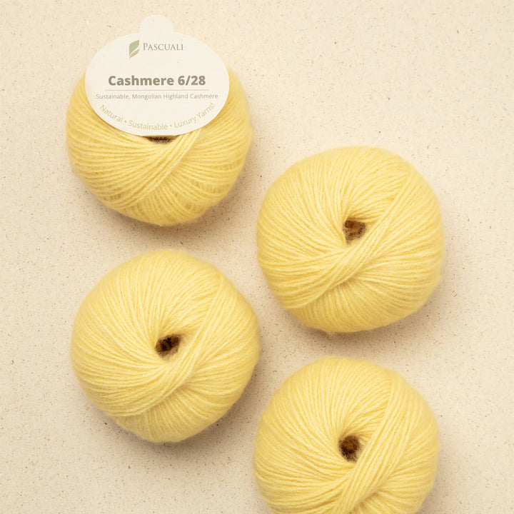 Pascuali Cashmere 6/28