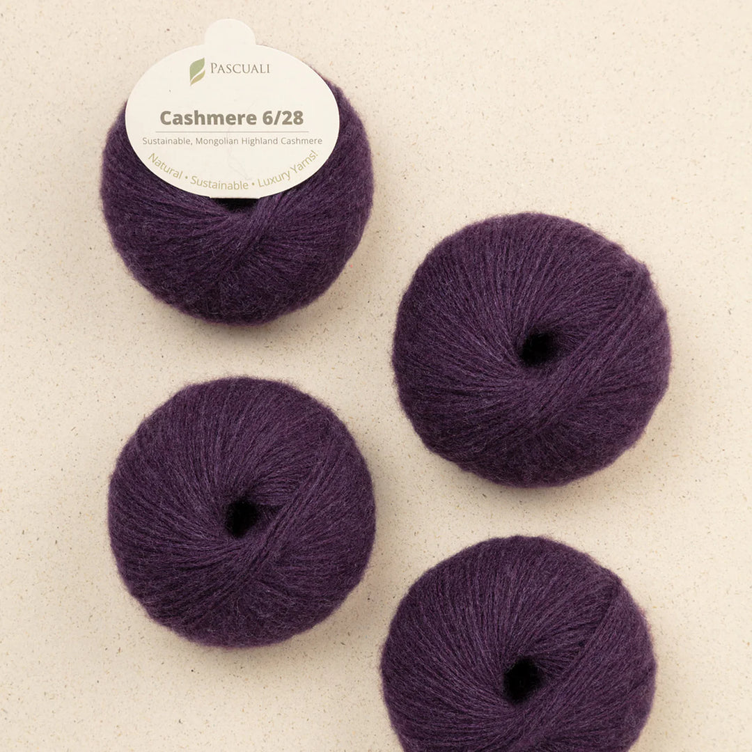 Pascuali Cashmere 6/28