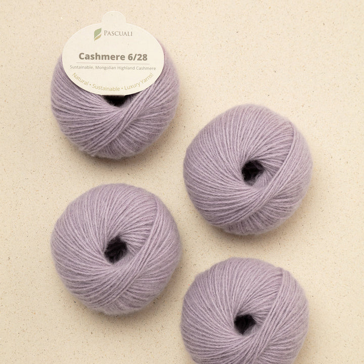 Pascuali Cashmere 6/28