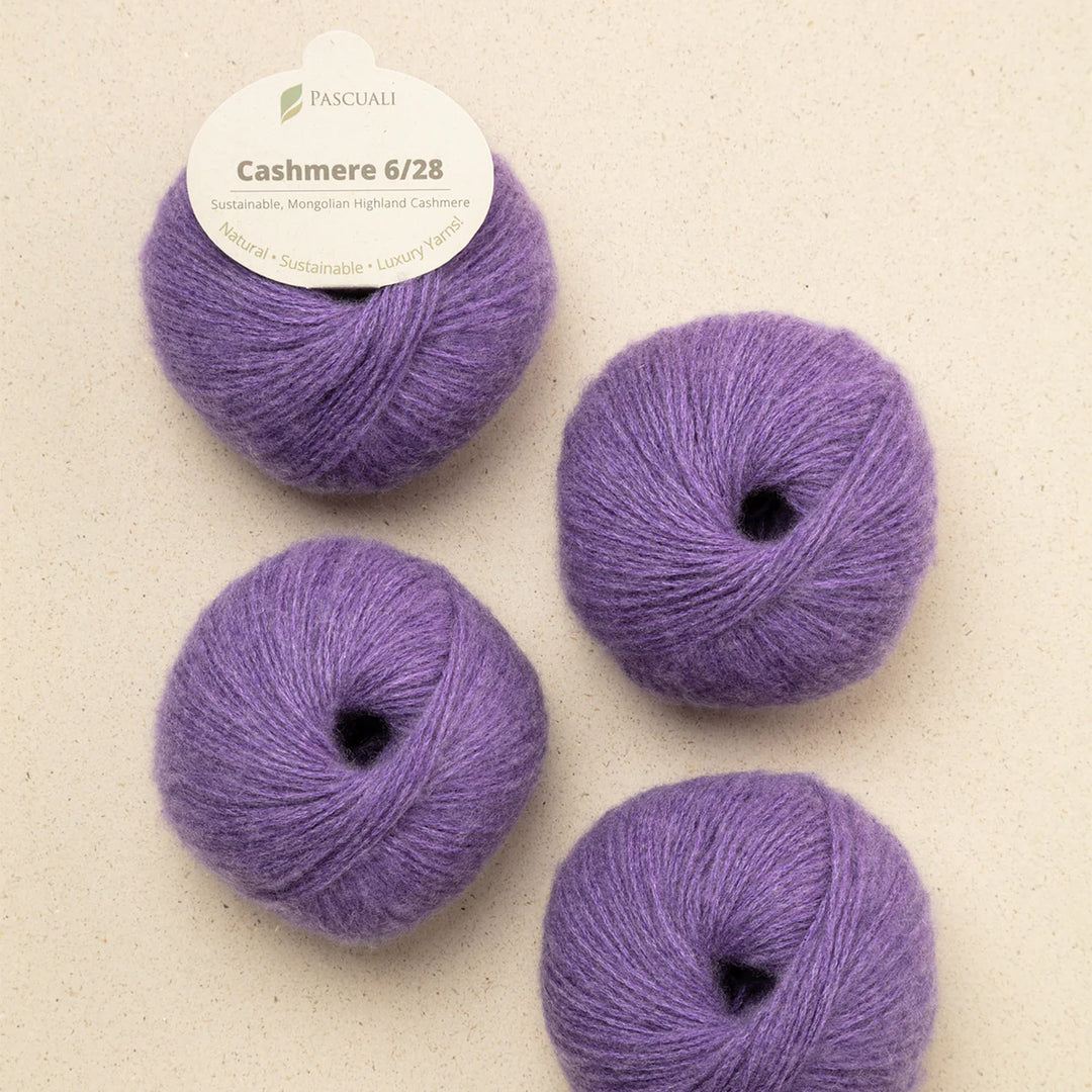 Pascuali Cashmere 6/28