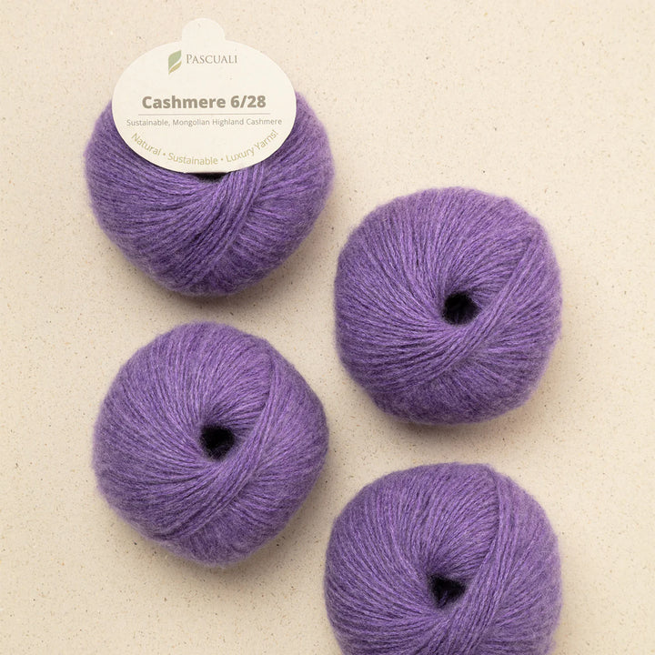 Pascuali Cashmere 6/28