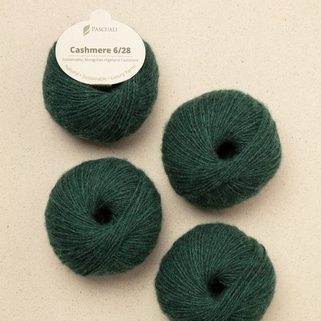 Pascuali Cashmere 6/28
