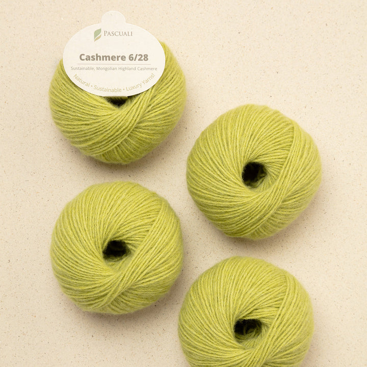 Pascuali Cashmere 6/28