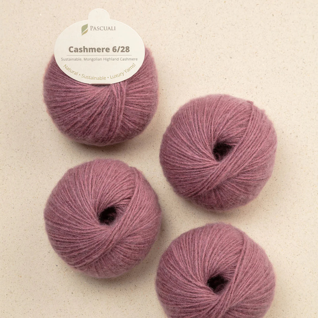Pascuali Cashmere 6/28