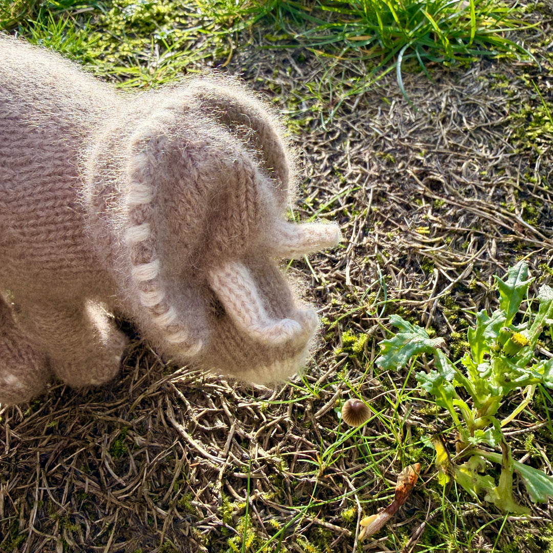 Cashmere Triceratops Dinosaur knitting kit