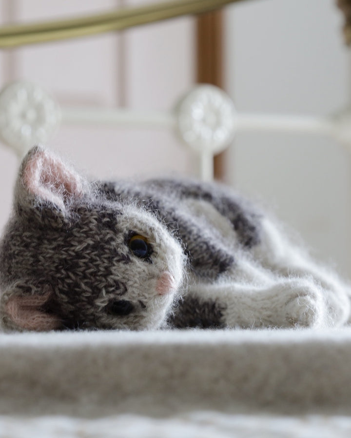 Tabby Kitten Cashmere Knitting Kit