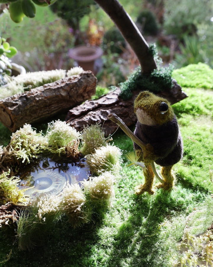 Toad Knitting Kit ( makes 2 )