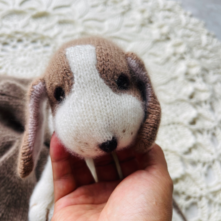 KNITTED AND READY Cashmere Beagle Puppy