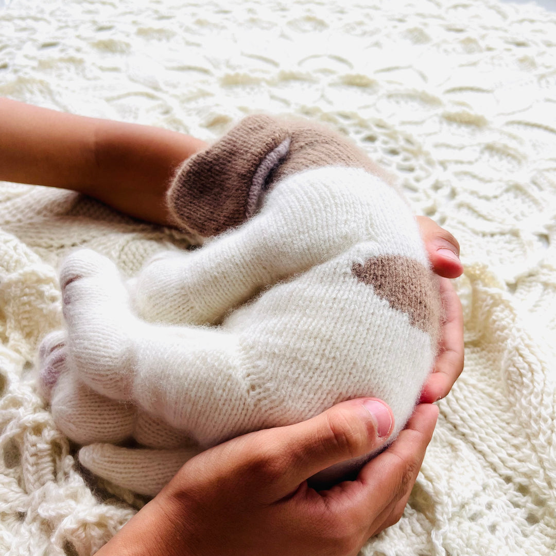Cashmere Beagle puppy knitting kit