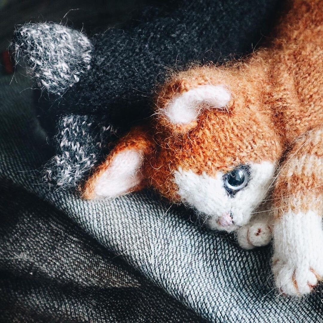 Kittens knitting kit | Knitted Home