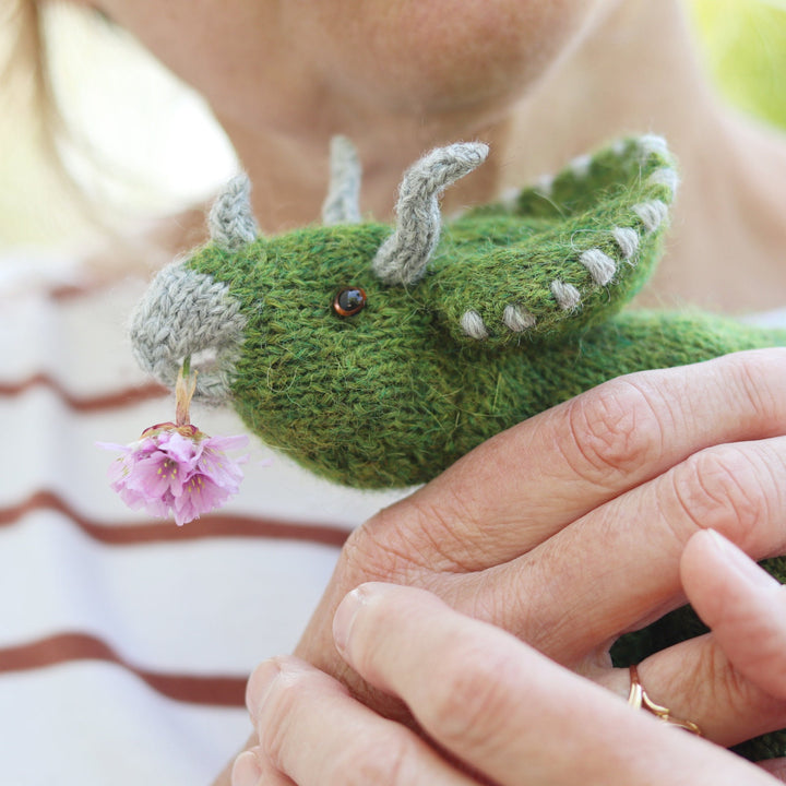 Triceratops Dinosaur knitting kit