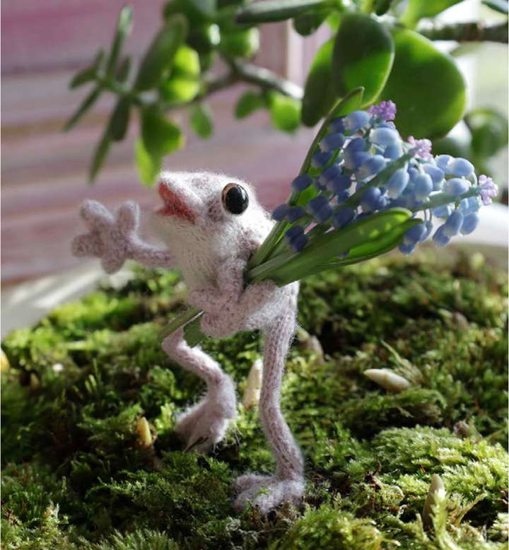 Froglet / Toadlet Knitting Kit